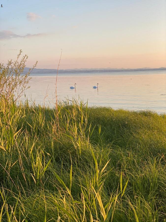 Ferien-Apartment Eisvogel Im Naturschutzgebiet Mit Privatstrand Friedrichshafen Exterior photo