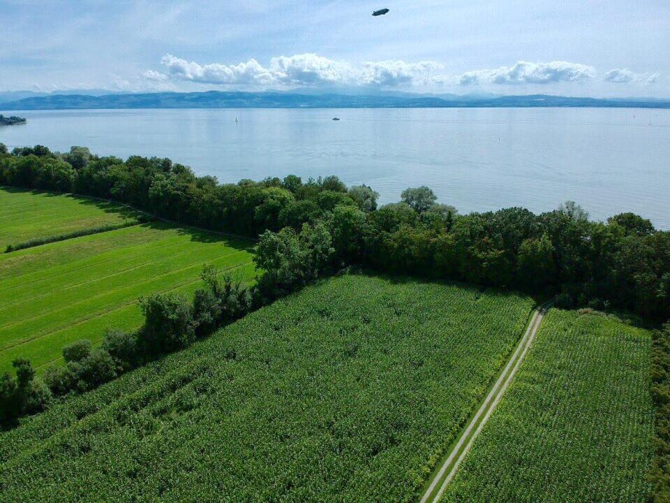 Ferien-Apartment Eisvogel Im Naturschutzgebiet Mit Privatstrand Friedrichshafen Exterior photo